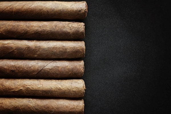 Cigar lên tuyết và bị mốc